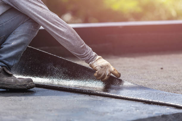 Professional Basement Waterproofing technician working in Northdale, FL